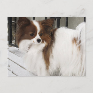Hershey Kiss Hero Kennel Merchandise Postcard