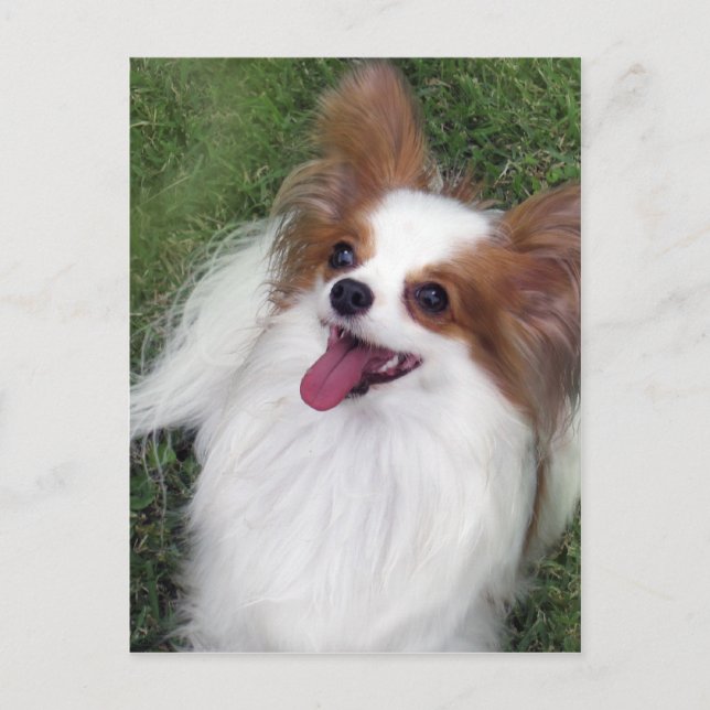 Hershey Kiss Hero Madi Merchandise Postcard (Front)