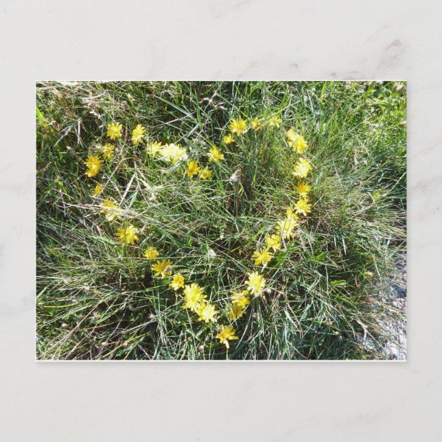 Herz aus Blumen Postcard (Front)