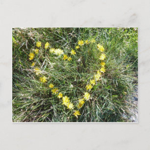 Herz aus Blumen Postcard