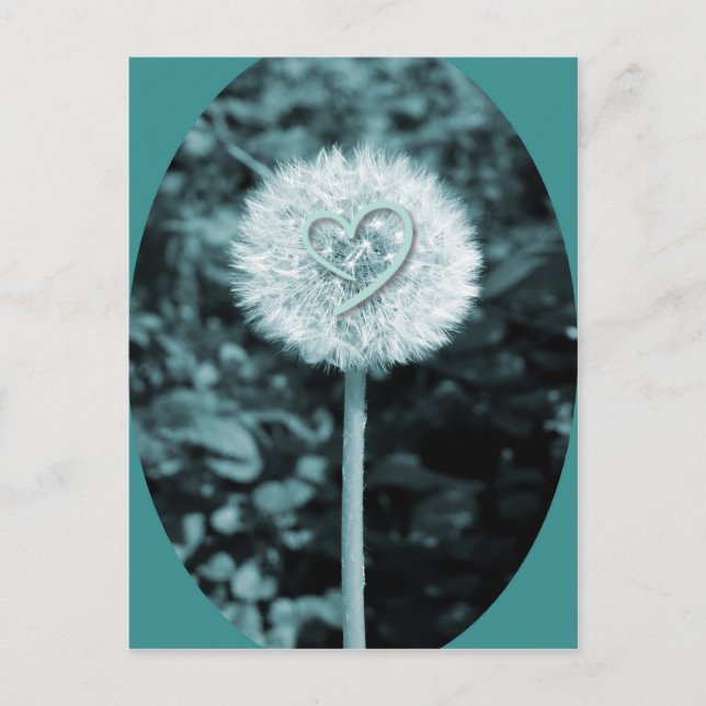 Herz blume heart flower postcard (Front)