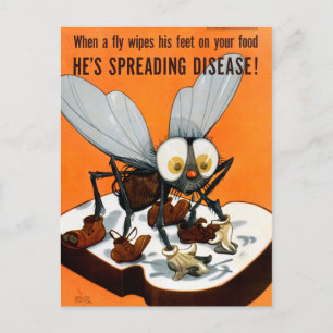 He's spreading desease Public Health Poster Postcard