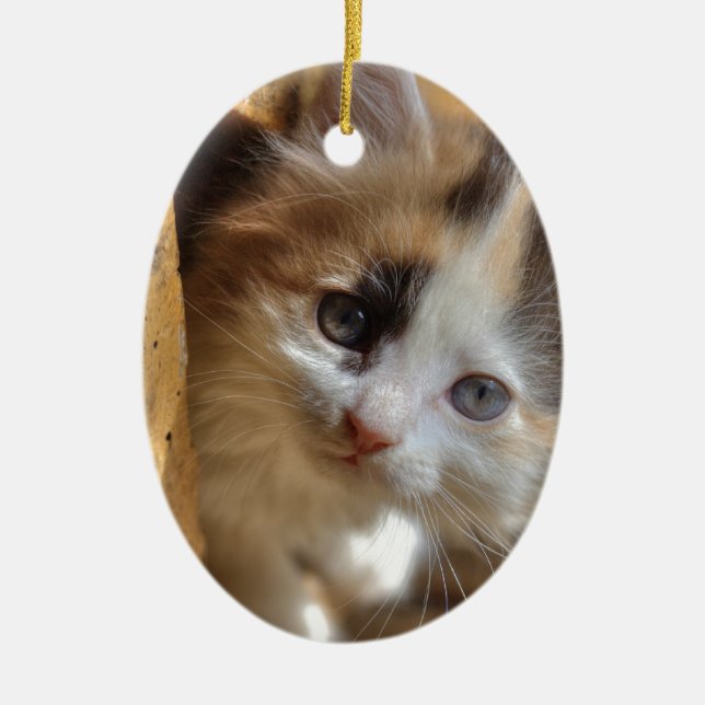 Heterochromia Calico Kitten Ceramic Tree Decoration (Front)