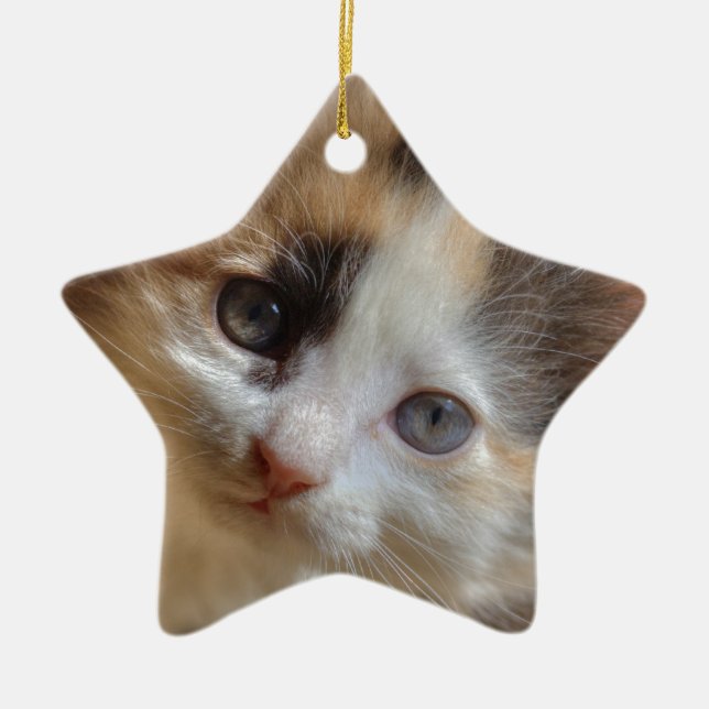 Heterochromia Calico Kitten Ceramic Tree Decoration (Front)