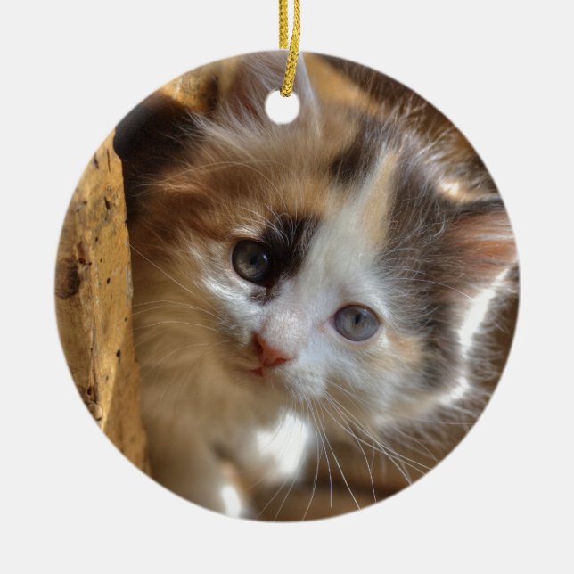 Heterochromia Calico Kitten Ceramic Tree Decoration (Front)