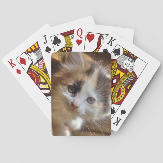 Heterochromia Calico Kitten Playing Cards (Back)