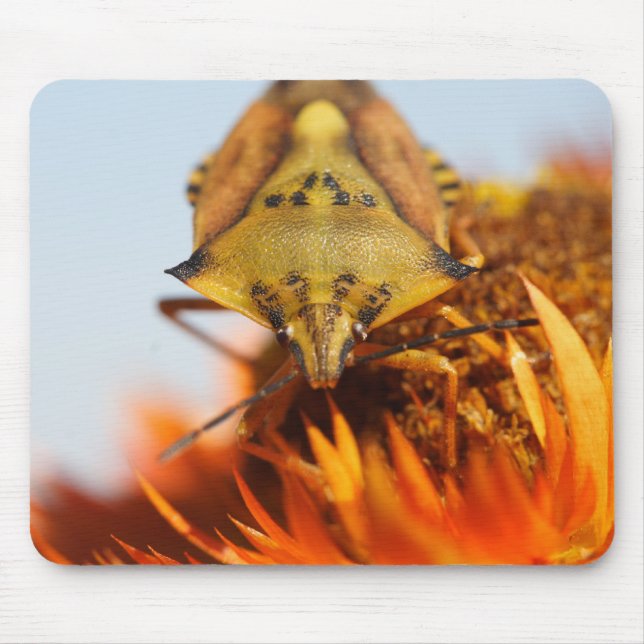 Heteroptera Mouse Pad (Front)