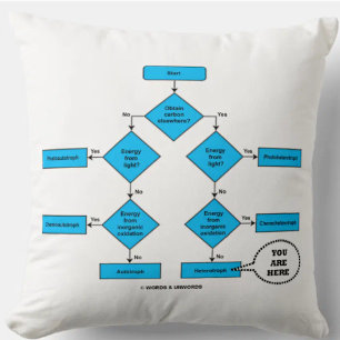 Heterotroph Flow Chart You Are Here Biology Humour Cushion