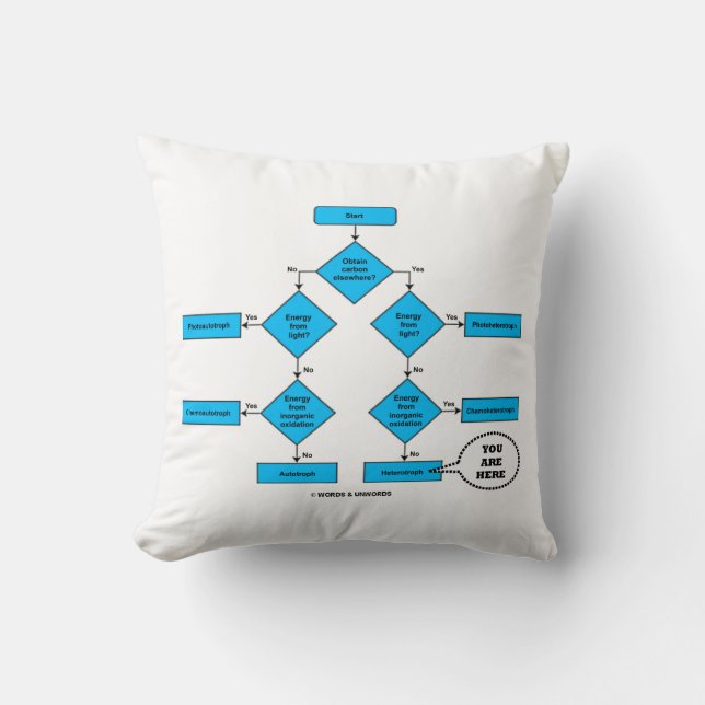 Heterotroph Flow Chart You Are Here Biology Humour Cushion (Front)