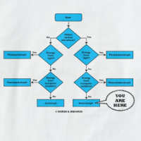 Heterotroph Flow Chart You Are Here Biology Humour