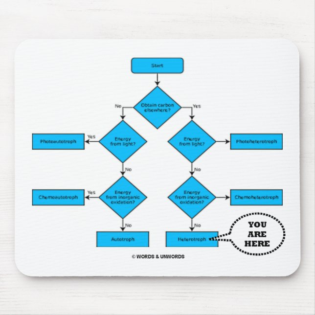 Heterotroph Flow Chart - You Are Here Mouse Pad (Front)