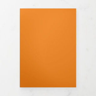 Hex #F17F17, Dark Salmon Tri-Fold Holiday Card