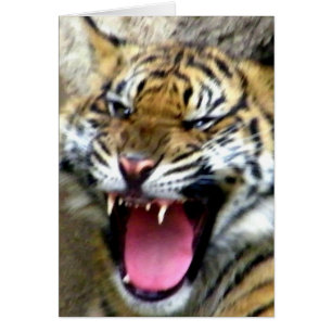 Hey_