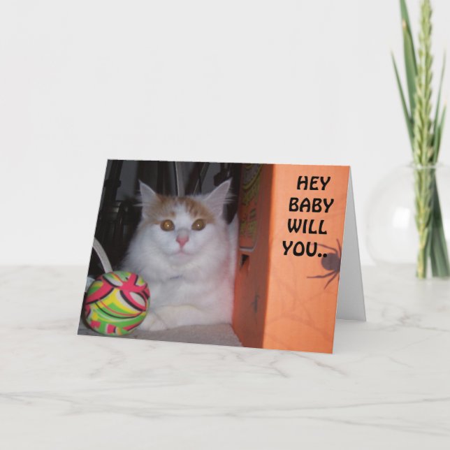 HEY BABY, WILL YOU BE MY VALENTINE SAYS KITTEN HOLIDAY CARD (Front)