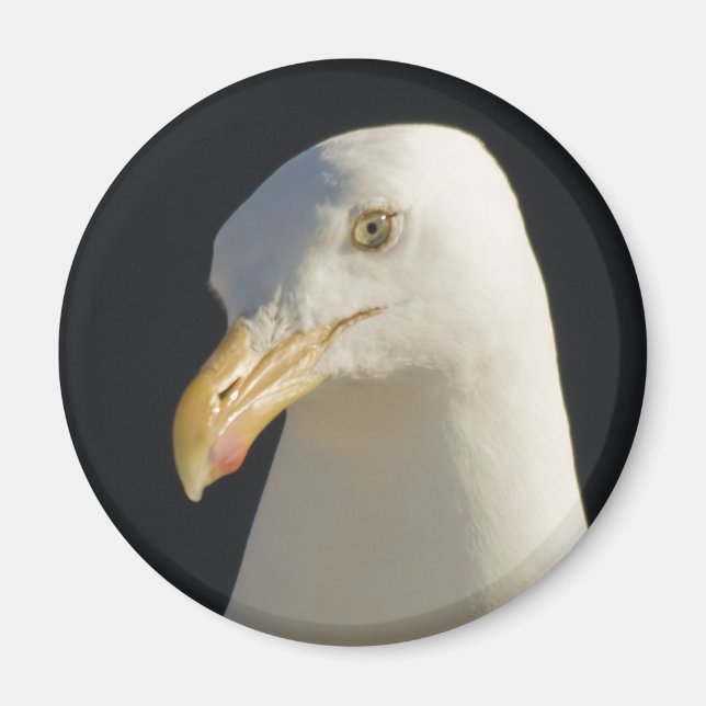 Hey Big Fella Magnet (Front)