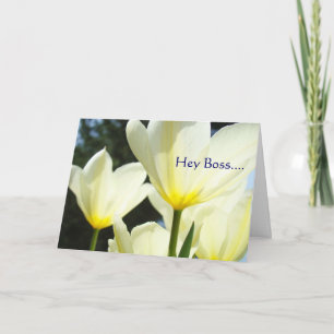 Hey Boss MERRY MERRY MERRY Christmas to You! Holiday Card