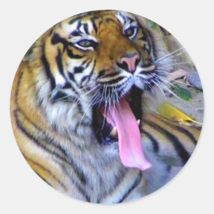 Hey_ Classic Round Sticker