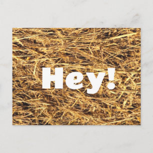 Hey! Hay Postcard