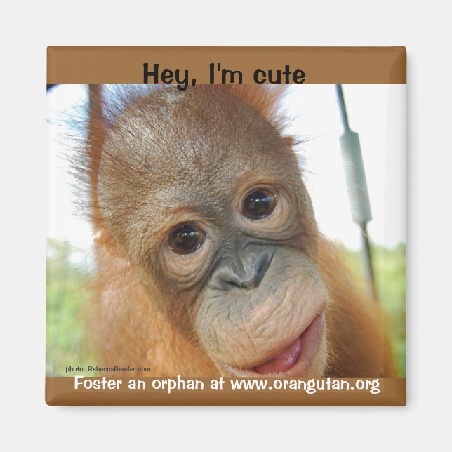 Hey, I'm a Cute Primate Magnet (Front)