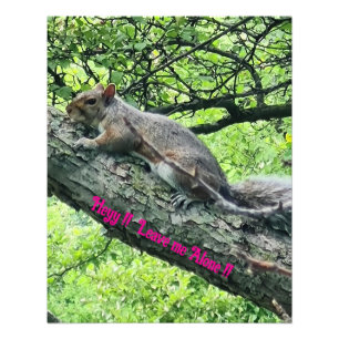 Hey! Leave me Alone! Annoyed Squirrel Photo Print