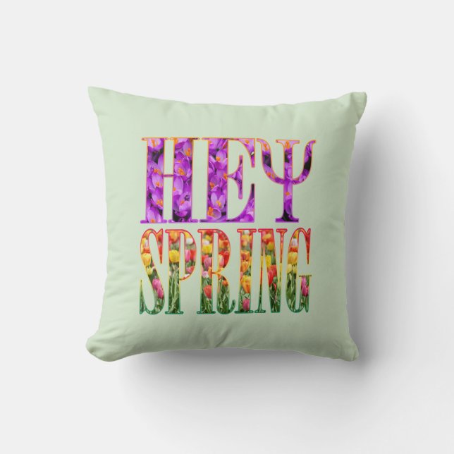 hey spring cushion (Front)