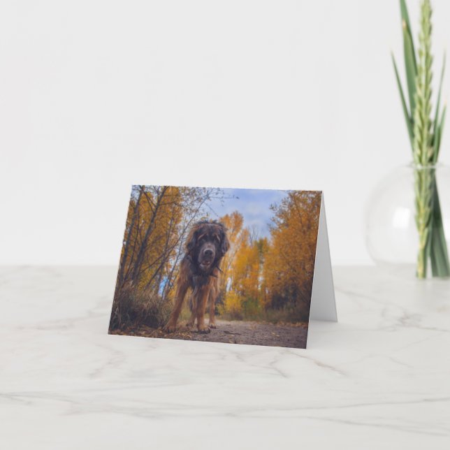 Hey There! Folded Note Card (Front)