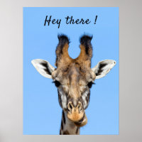 Hey there funny Giraffe photo with text