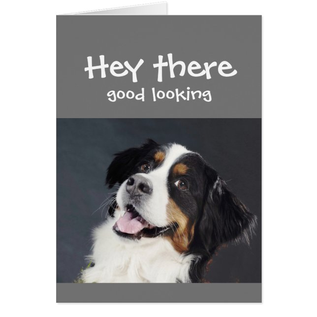 Hey There Good Looking Flirty Birthday Cute Dog (Front)