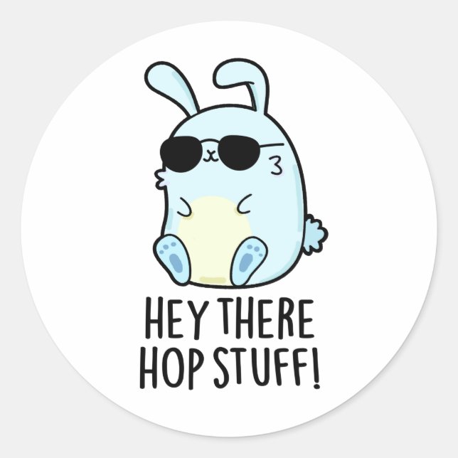 Hey There Hop Stuff Funny Hot Rabbit Pun  Classic Round Sticker (Front)