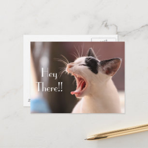"Hey There" Impatient Cat Greeting Postcard