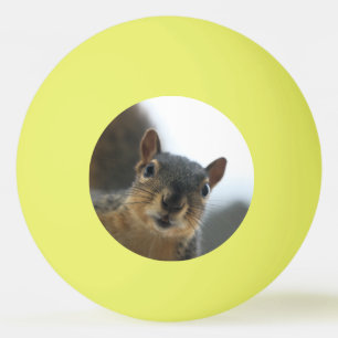 Hey there ping pong ball