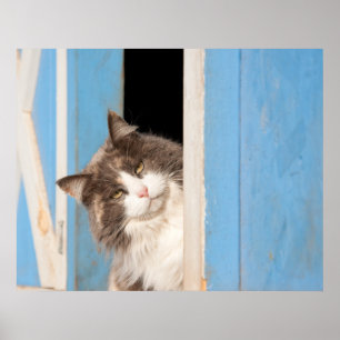 Hey There! Poster
