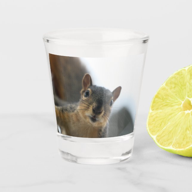 Hey there shot glass (Front)