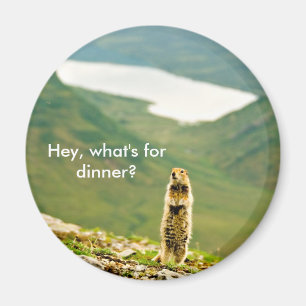 Hey, What's for Dinner? Magnet