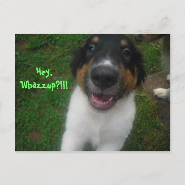 Hey, Whazzup?!!! Postcard (Front)