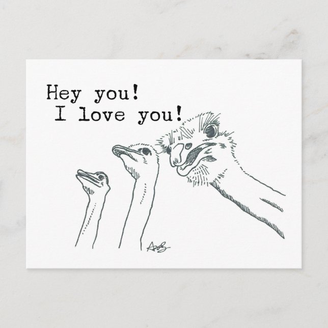 Hey You! I Love You! - Ostrich Post Card (Front)