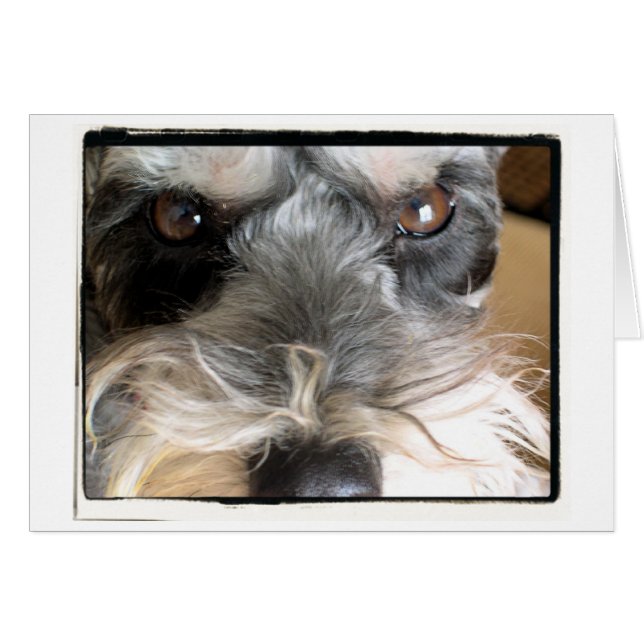 Hey You!  I Order You To Come To My Party! (Front Horizontal)