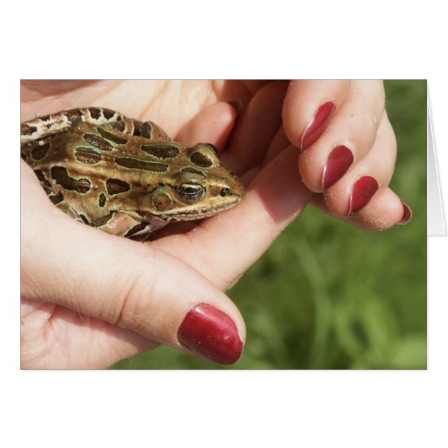 HFTH-011205-MFM-07 (Front Horizontal)