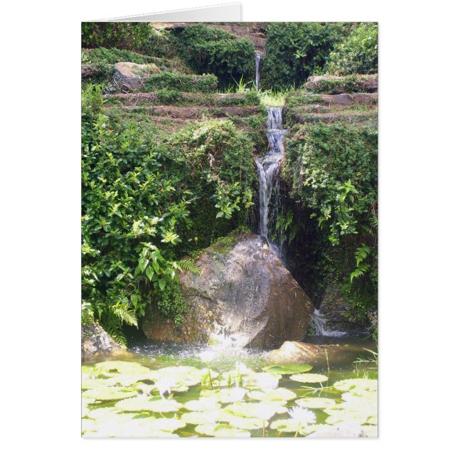 HG stream card (Front)