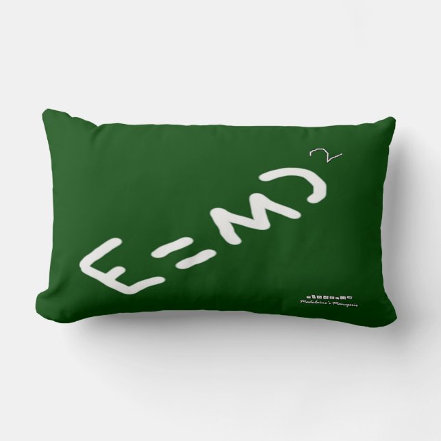 HI54EDU Physics Relativity RVC Lumbar Cushion (Front)