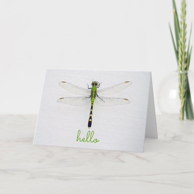 Hi and Hello with Dragonfly on Wall Outside House Card (Front)