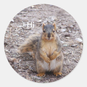 Hi Classic Round Sticker