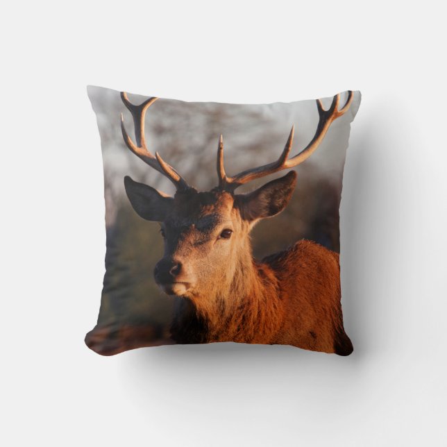 HI DEER CUSHION (Front)