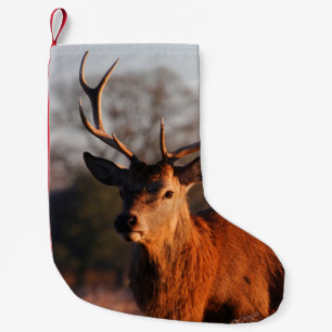 HI DEER SMALL CHRISTMAS STOCKING