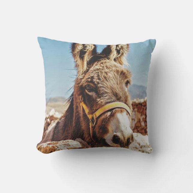 HI DONKEY CUSHION (Front)