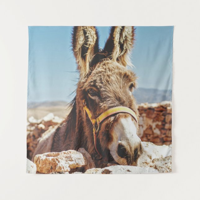 HI DONKEY TAPESTRY (Front)