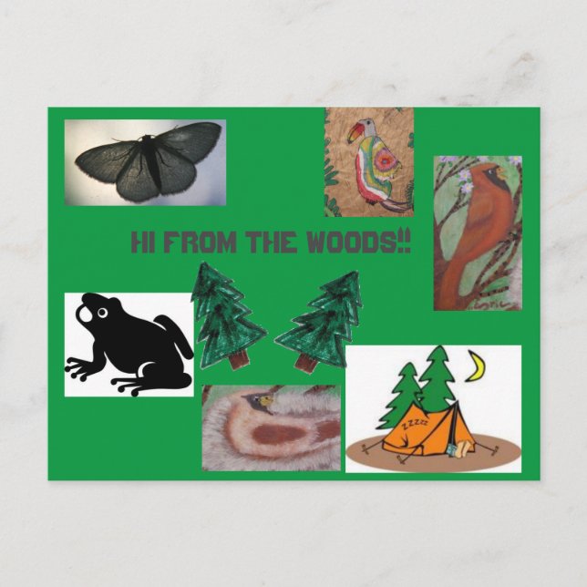 Hi from the woods camp postcard (Front)