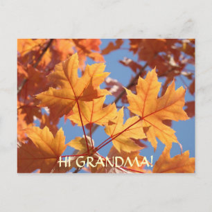 HI GRANDMA! POST CARD Orange Autumn Leaves Trees