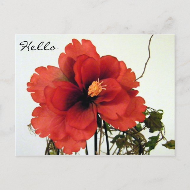 Hi,Hello/Any Occasions_ Postcard (Front)