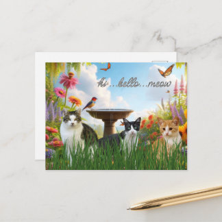 Hi Hello Meow / Cats in the Garden Cute Animal Postcard